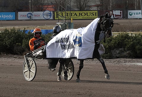 Tommi Kylliäisen ajama Workout Wonder sai voittoloimen ylleen.