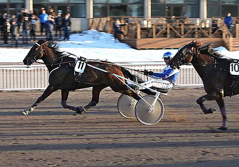 Keskiviikon Toto65-kierroksella avojaloin yllättänyt The Rector on mukana ensi perjantaina Pilvenmäen omissa karsinnoissa.