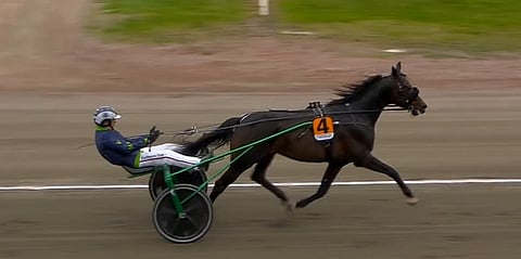 Ringostarr Treb oli ylivoimainen. Kuva: ATG Live