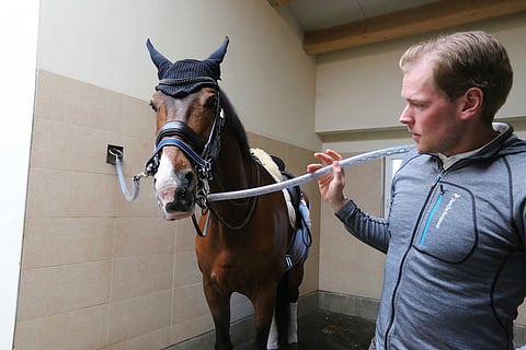 Roccabar ja Henri Ruoste kotonaan Gut Bertinglohissa.