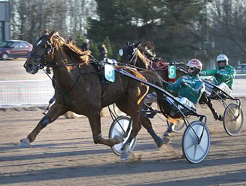 Hannu Torvisen ajama Tiger Ecus häikäisi Vermossa.