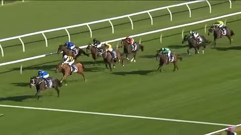 Winx voitti lauantaina 25. voittonsa peräkkäin Australiassa.