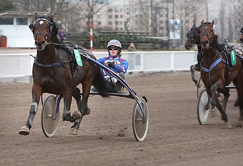 Ypäjä Louvre/Olli Koivunen on ideasysteemin ankkuri.