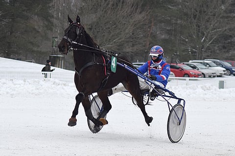 Harri Koivusen tallin kaksikko saa luottoa kolmannessa kohteessa. Kuvassa Demba Me Too maaliskuussa Olli Koivusen ajamana.