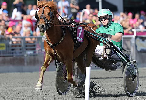 Fantom laskettelee ylivoimaisena Lilla Elitloppetin voittoon neljättä kertaa. Patrik Franzénilla oli aikaa miettiä tuuletustaan.