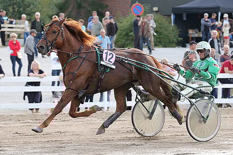 Lissun Eerikki hakee Toto75-voittoa ideavarmana.