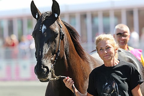 Cattis Lundström taluttaa Elitloppet-voittaja Nunciota Solvallassa. (Kuva: HU arkisto/Jarno Unkuri)