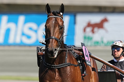 Propulsionin voittosumma meni yli 31 miljoonan kruunun. Kuva: Jarno Unkuri