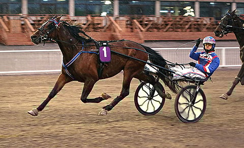 Olli Koivunen ja Shadow Of Brisbane pyrkii yllättämään vastustajat Solvallassa.