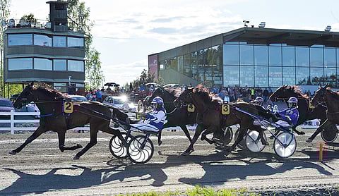Kuopio Stakesissa painellaan ensi viikonloppuna kovaa. Kolme vuotta sitten voiton vei Twist Of Fate.