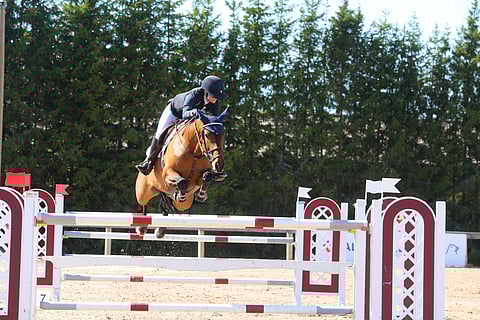 Emma Tallberg ja puomeja nuolevan tehokas Arven.