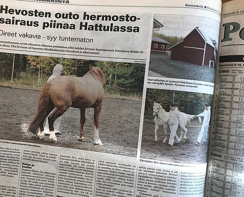 Hevosurheilussa kirjoitettiin sivukaupalla Hattulan taudista vuonna 2006.