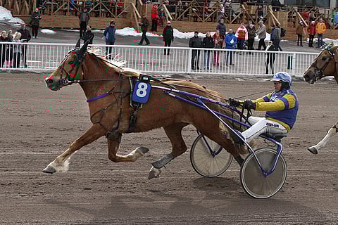 Lissun Assin jatkosuunnitelmat ovat selvillä.