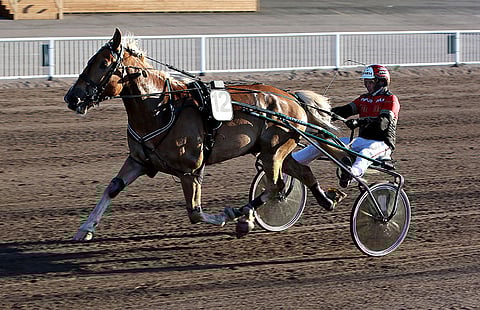 Sähköäijä on Teivon Toto5-kierroksen pankki.