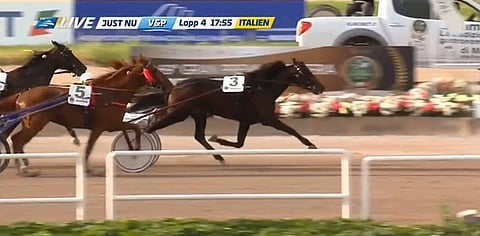 Urlo Dei Venti voitti Lotterian finaalin ennen Dreammokoa ja kolmanneksi sisältä kirinyttä Arazi Bokoa. Kuva ATG Live