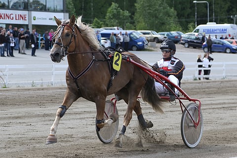 Aron Viima on mielenkiintoinen varmahaku tasaisesti pelattuun kolmoskohteeseen. Ilman takakenkiä tänään juokseva ruuna on voittanut viimeksi marraskuussa.