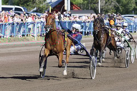 Aubrion du Gers: Viime vuonna Kymi Grand Prix, tänä vuonna Elitloppet. Kuva: Jarno Unkuri