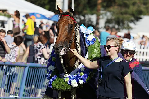 Kymi Grand Prix-voittaja Aubrion du Gers keräilee voittoloimia ja seppeleitä. (Kuva: HU arkisto/Jarno Unkuri)
