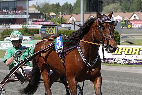 Vermossa kakkospaikalta lähtevä Bret Boko on sietsemän hevosen avoimella maililla oiva voittajehdokas. Ruuna kilpailee myös lauantaina Härmässä avoimessa mailin ryhmässä ja siellä lähtöratana on numero 4.