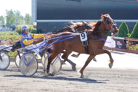 Ekosanin tyylinäyte Porin loppusuoralta.