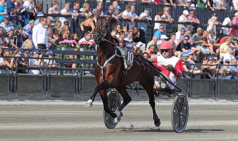 Evil Enok ME kiri tulisesti Oslo GP:n kakkoseksi, nyt hopeatila vaihtui kultaan. (Kuva: Totofoto)