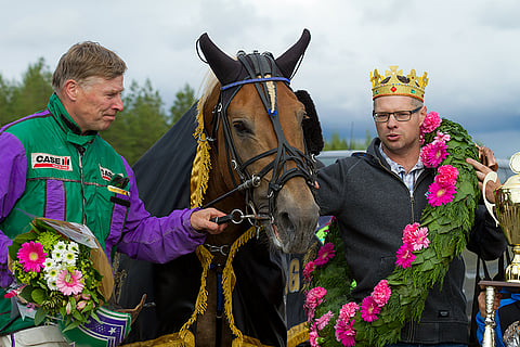 Risto Tupamäen ajama ja Ville Herttuan valmentama Costello oli jälleen paras.