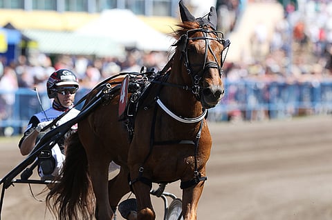 Kuvassa Mika Forssin ohjastama Vinksa määrättiin koelähtöön tiistain tapahtumien johdosta.