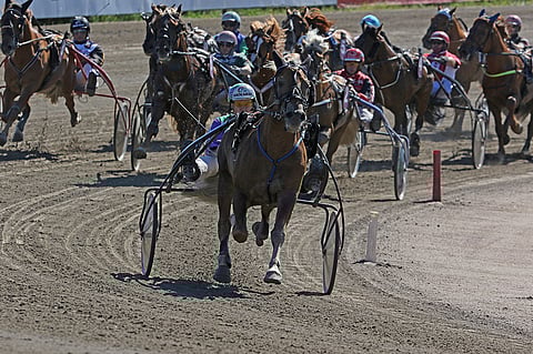 Suur-Hollola-ajossa muilta karkuun pötkinyt Costello on kuninkuuskisan suosikki. Kuva: Jarno Unkuri.