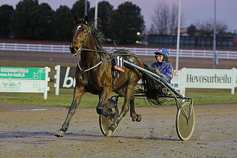 Maija Forsin valmentamassa Jasulitossa on ideaa Toto65-pelin päätöskohteessa. Kuva: Jarno Unkuri.