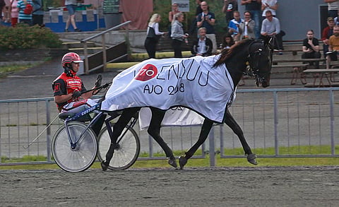 Santtu Raitalan ajama Atupem voitti perinteisen Joensuu-ajon lauantaina. Kuva: Annika Nisonen.