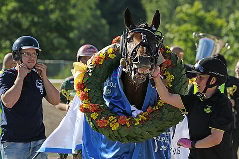 Ranch Kelly voitti lämminveristen kesäkuun Kuukauden ravurit -verkkoäänestyksen täpärästi ennen Graceful Swampia. Kuva: Jarno Unkuri.