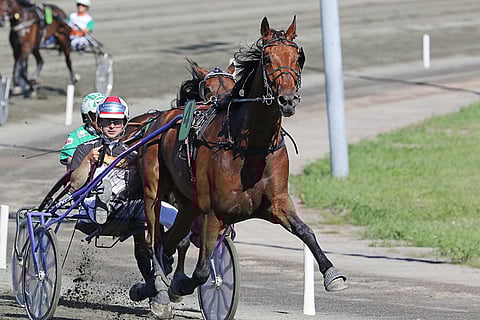 Tir du Caux humautti ohi Bret Bokon. Kuva: Jarno Unkuri.