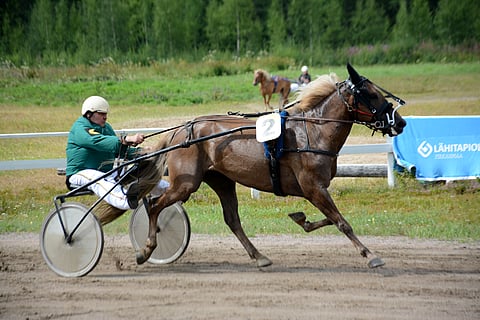 Merran Tahti, 8, aloitti uransa huikealla ylivoimasoololla Oriveden paikallisraveissa. Ajalla 26,8 alittui samalla koelähtöraja kirkkaasti. Kuva: Anna Karhila