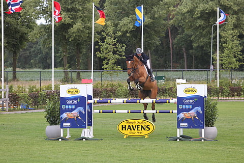 Vrai Chique hyppäsi pelkkää nollaa Knokkessa.