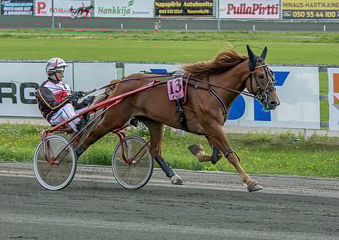 Tähen Toivomus voitti Kippu-ajon toista kertaa peräkkäin, ja Pauli Raivio aikoo tehdä kisaan osallistumisesta perinteen.