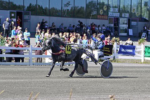 Järjestetään, ei järjestetä, järjestetään... Koronavuoden poninkuninkuusraveissa riittää käänteitä.