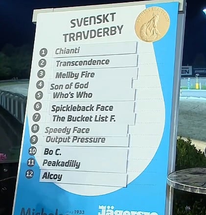 Who's Who jähteen Derby-finaaliin radalta viisi. (Kuva: ATG Live)