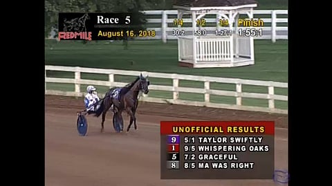 Scott Zeron jatkaa menestyskulkua Hambletonian-voittonsa jälkeen. Kentuckyssa hän voitti kaikki kolme tammalähtöä 2-vuotiaiden KYSS-sarjassa. Kuva Red Mile leve stream