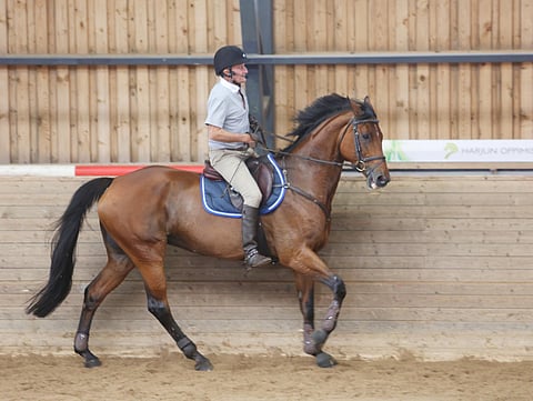 George Morris ja tamma Rebeca, jota Morris kuvailee "artistiksi". Iso osa Morrisin valmennuksista tehdään old skool -tyyliin ilman jalustimia.