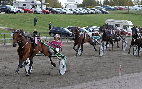 Attack Diablo nipisti keulajuoksullaan rataennätyksestä kaksi kymmenystä. Ranskaan tähyävä Ranch Kelly sai tyytyä takarivistä kakkossijaan. Kuva: Annika Nisonen.