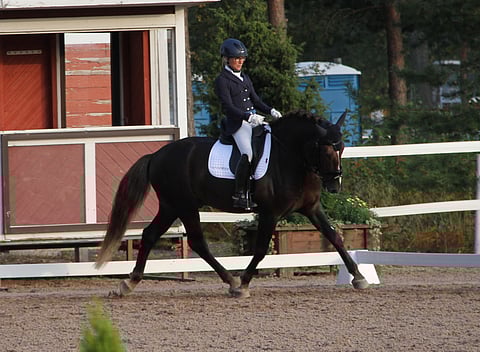 Kulta-ahon Kasimir ja Anna Kärkkäinen vaanivat toisina.