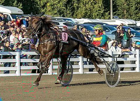Seitsemänvuotias Landen Paukku jatkoi uraansa tappioitta.