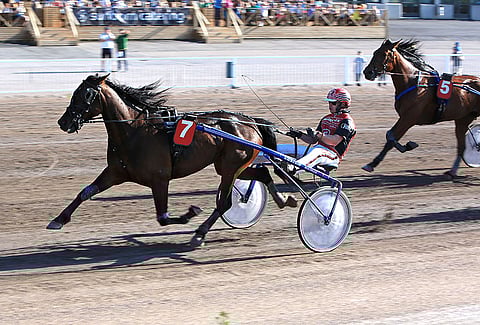 Miss Maverick oli iltapäivällä Toto65-3:ssa kakkossuosikki BWT Crusaderin jälkeen.