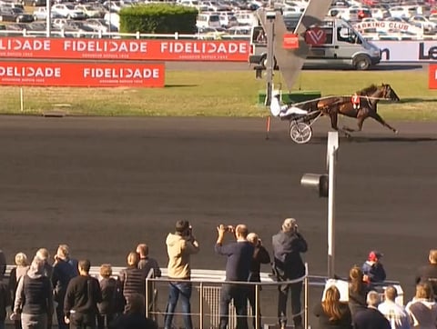 Ranch Kellyn ylivoimaa. Kuva: Equidia Pro