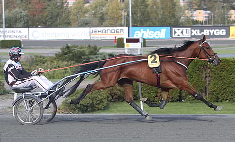 Staro Miamin loistokausi sai jatkoa BC-kakkosella.