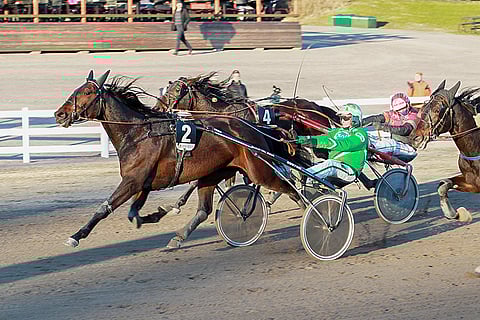 May Rose aloitti uransa Ville Mäkelän tallista. Voittosummaa on kertynyt tähän mennessä reilut 40 000 euroa.