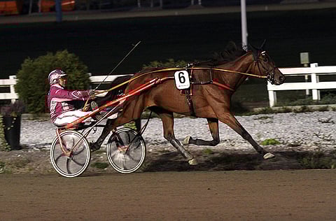 Bosses Lady aloitti vakuuttavien karsintavoittajien sarjan.