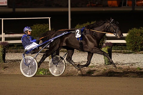 Tuomas Korvenoja ajoi jatkoon kaksi valmennettavaa, joista Lewis Ale voitti karsintansa vakuuttavasti. Kuva: Roosa Lindholm.