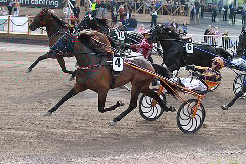 Valmentaja Tommi Kylliäisen ajama Littlebro Comery piti nelivuotiaat kilpakumppanit kurissa lauantain avauskohteessa.