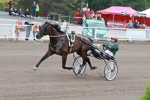 Ranch Kelly palaa Vermoon voittajana.